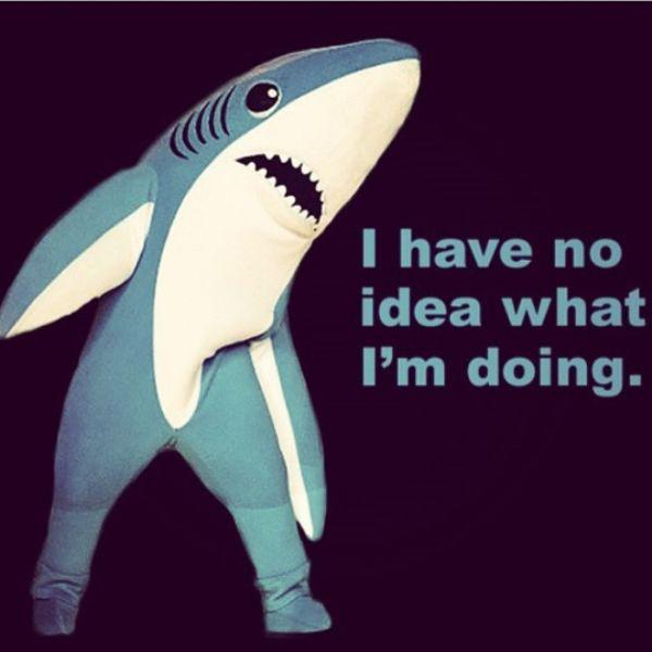 Left_Shark_3