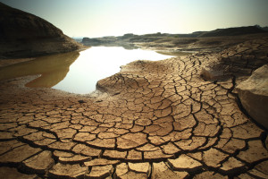 Drought s-487921873