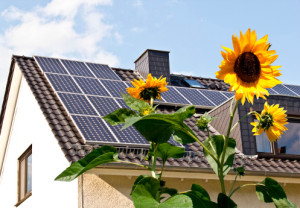 Solar panels at a roof with sun flowers